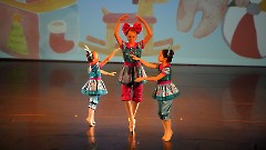 010. Благотворительный балетный гала-концерт в Центре культуры «Мере» 30 ноября 2025 г. Фото- Александр Хмыров