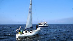 10. Пирита - Таллинский залив. 26 июля 2025 г. Фото- Александр Хмыров