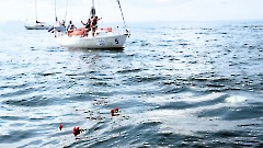 19. Пирита - Таллинский залив. 26 июля 2025 г. Фото- Александр Хмыров