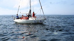23. Пирита - Таллинский залив. 26 июля 2025 г. Фото- Александр Хмыров