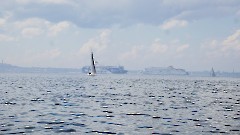 29. Пирита - Таллинский залив. 26 июля 2025 г. Фото- Александр Хмыров
