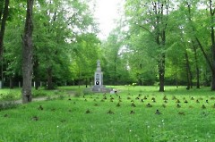 Narva Garnisoni kalmistu, Vabadussõjas hukkunute matmispaik mälestussambaga. Tõnis Taavet, 01.06.2010.