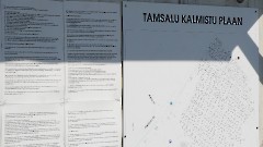 1. Тамсалу. Кладбише. Фото - Александр Хмыров, 30 июля 2025 г.