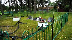 1. Локса. Воинское захоронение № 4. 31 августа 2023 г. Фото - Александр Хмыров
