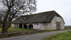 05. Мыза Хагуди. Фото- Александр Хмыров, 9 ноября 2025 г.