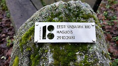 07. Мыза Хагуди. Фото- Александр Хмыров, 9 ноября 2025 г.