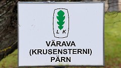 10. Мыза Хагуди. Фото- Александр Хмыров, 9 ноября 2025 г.