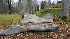 5. Равила мыза и парк. Фото- Александр Хмыров, 1 ноября 2025 г.