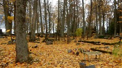 Vara kalmistu. Foto autor I. Raudvassar 17.10.2017