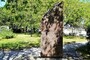 09-khaapsalu-voinskoe-zakhoronenie-1-foto-aleksandra-khmyrova-6072022