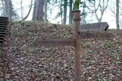 01-razvadiny-myzy-merem-is-foto--aleksandr-khmyrov-15-noyabrya-2025-g