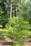 Памятник героям Освободительной войны 1918-1920 гг. в Тудулинна