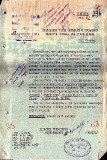 4. Ида-Вируский уезд. Воинское захоронение № 2 23.12.1953