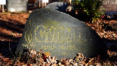 3-14, C1. Военное кладбище. Таллин. Фото - Александр Хмыров, февраль-март 2024 г.
