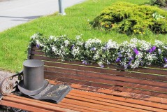 «Я говорю о Пушкине: поэте, действительном в любые времена!»