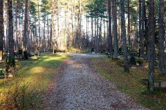 ПРОКОФЬЕВ Игорь Александрович