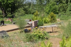 ВИННИ Аарне Лембитович