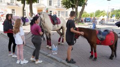 Витебск фестивальный