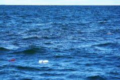 На таллинском рейде отдали дань памяти погибшим морякам