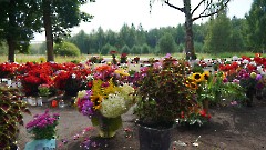 31. На месте памятника 23 августа 2022 г. Фото -  Александр Хмыров