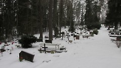 Rogosi-Pütsepa kalmistu. Вид на кладбище с востока. Фото Керсти Сийм, 31.01.2017.