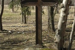 Kärdla hiiurootslaste kalmistu. Фото М. Мынисте Дата 08.04.2007