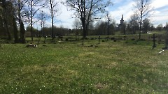 Raasiku vana kalmistu