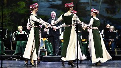 Народный ансамбль русской песни и танца «Кривичи»