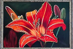 Подарок женщинам к первому празднику Весны...