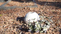 Военное кладбище. Захоронения. Квартал С1