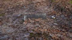 Военное кладбище. Захоронения. Квартал С1