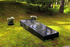 01 Лесное кладбище в Таллине (Metsakalmisu), 2 июля 2016 г. Фото - Александр Хмыров