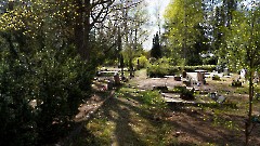 ВЯЛИ Харри Тийтович