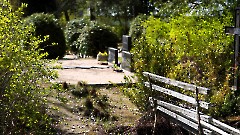 ВЯЛИ Харри Тийтович