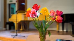 Концерт вокальной студии им. Ольги Лунд «Душа поёт»