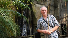 Итоговой выставкой завершился проект «Художники в гостях у зоопарка»