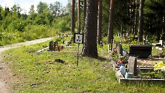 РАЗГУЛЯЕВ Александр Михайлович