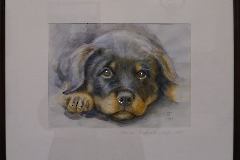 34. Открытие юбилейной выставки Галины Преображенской - «Жизнь». Центр культуры «Мере», 28 октября 2025 г. Фото- Александр Хмыров