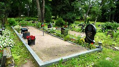 4. Кохила. Кладбище, 13 июля 2026 г. Фото- Александр Хмыров