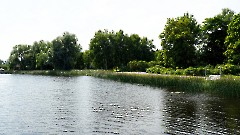 04. Мыза Керну, 11 июля 2026 г. Фото- Александр Хмыров
