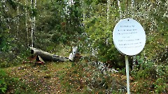 02. Юминда, 31 августа 2026 г. Фото- Александр Хмыров