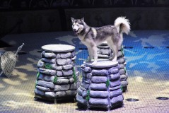 Мы - вместе!