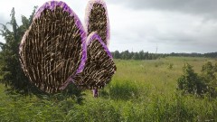 На экраны выходит фильм об эстонском сюрреалисте Юло Соостере