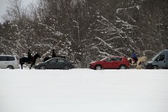 Ушли в предрассветный туман…