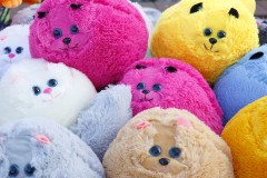 Пусть Богом родится и у нас водится