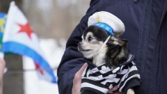 Разве можно забыть Мерекюла?!