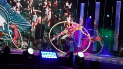 Витебск фестивальный