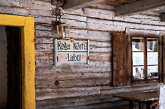 Выставка живописи Марта Сандера