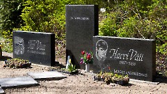 ВЯЛИ Харри Тийтович