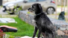 Мастер-класс по акварели от художника Валерия Макового